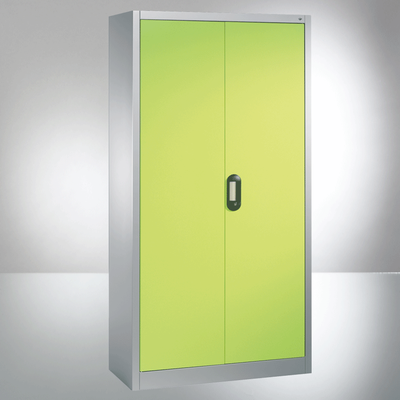 Fl&uuml;gelt&uuml;renschr&auml;nke Serie  C2000 Standard